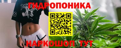 шишки Рузаевка
