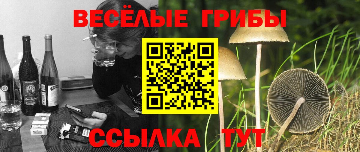 Псилоцибиновые грибы MAGIC MUSHROOMS Саяногорск